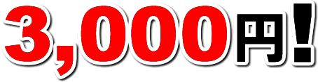 3000円