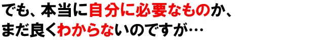 能書きはいいから、お前が何をしてくれるのか早く言え!