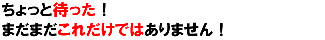 ちょっと待った!まだまだこれだけではありません!